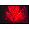 Native Red Ingan Microdisplay, z Cambridge